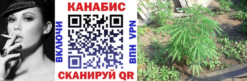 mega сайт  Старый Оскол  МАРИХУАНА White Widow  магазин  наркотиков 